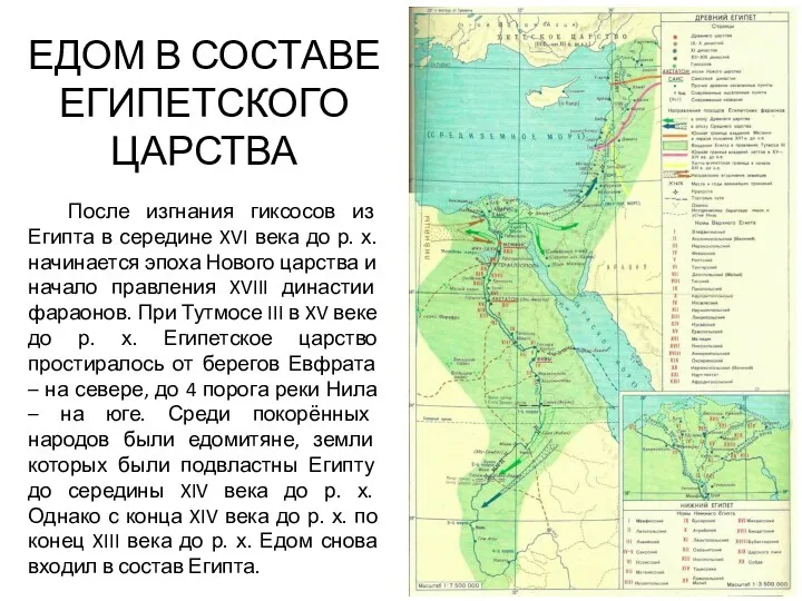 ЕДОМ В СОСТАВЕ ЕГИПЕТСКОГО ЦАРСТВА После изгнания гиксосов из Египта