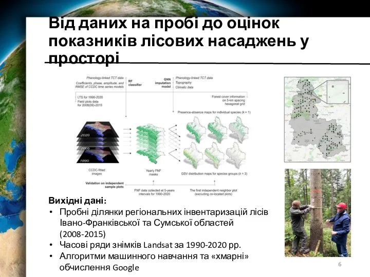 Від даних на пробі до оцінок показників лісових насаджень у