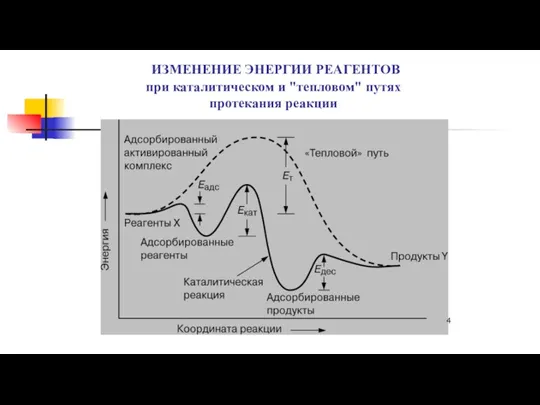 ИЗМЕНЕНИЕ ЭНЕРГИИ РЕАГЕНТОВ при каталитическом и "тепловом" путях протекания реакции