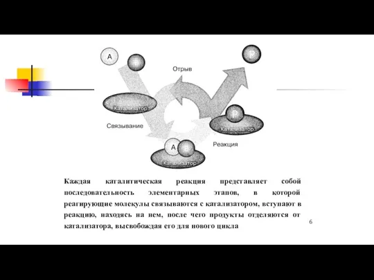 Каждая каталитическая реакция представляет собой последовательность элементарных этапов, в которой