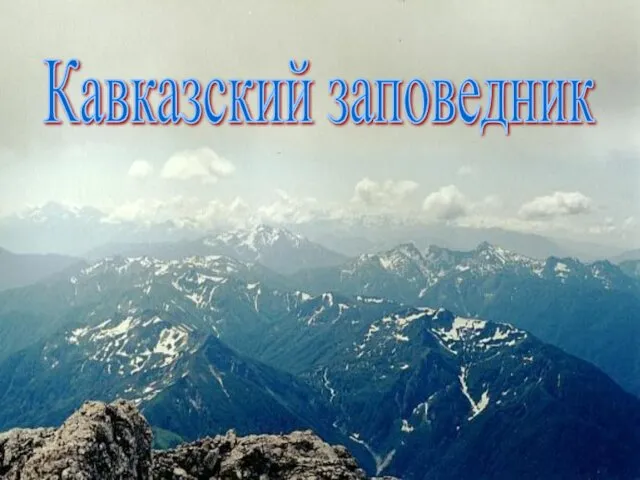 Кавказский заповедник