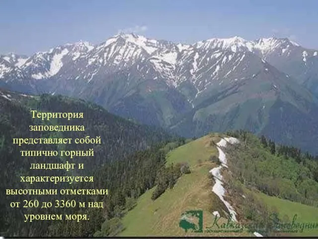 Территория заповедника представляет собой типично горный ландшафт и характеризуется высотными