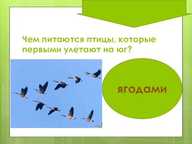 Чем питаются птицы, которые первыми улетают на юг? ягодами