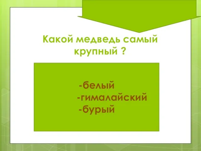 Какой медведь самый крупный ? -белый -гималайский -бурый