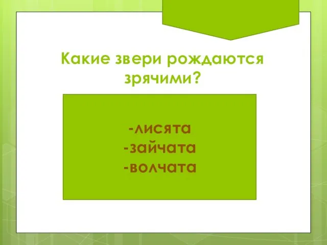 Какие звери рождаются зрячими? -лисята -зайчата -волчата