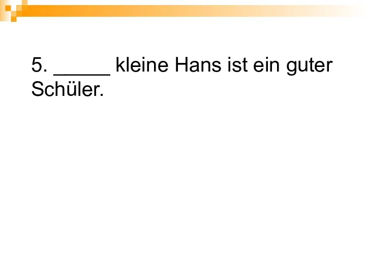 5. _____ kleine Hans ist ein guter Schüler.