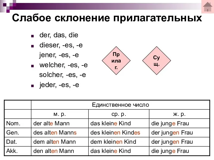 der, das, die dieser, -es, -e jener, -es, -e welcher,