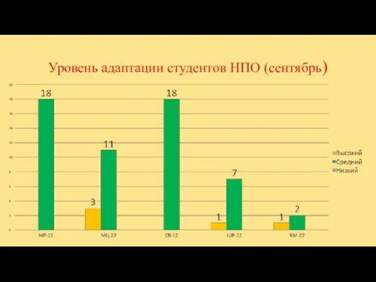 Уровень адаптации студентов НПО (сентябрь)