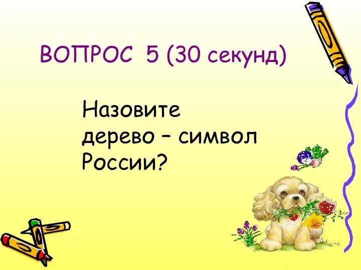 ВОПРОС 5 (30 секунд) Назовите дерево – символ России?