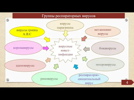 Группы респираторных вирусов 4 вирусы парагриппа вирусы гриппа А.В.С коронавирусы