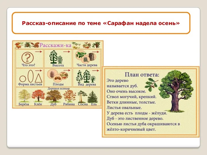 Рассказ-описание по теме «Сарафан надела осень»