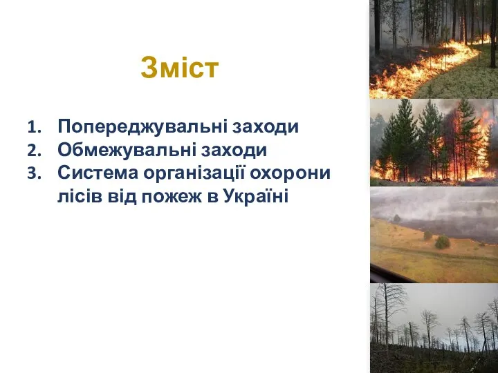 Зміст Попереджувальні заходи Обмежувальні заходи Система організації охорони лісів від пожеж в Україні