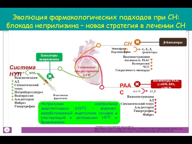 Эволюция фармакологических подходов при СН: блокада неприлизина – новая стратегия