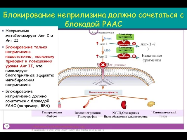 Блокирование неприлизина должно сочетаться с блокадой РААС 1. Von Lueder