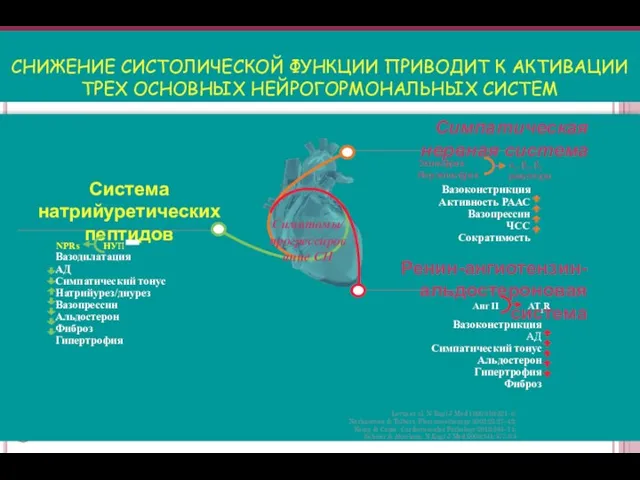 СНИЖЕНИЕ СИСТОЛИЧЕСКОЙ ФУНКЦИИ ПРИВОДИТ К АКТИВАЦИИ ТРЕХ ОСНОВНЫХ НЕЙРОГОРМОНАЛЬНЫХ СИСТЕМ Levin et al.