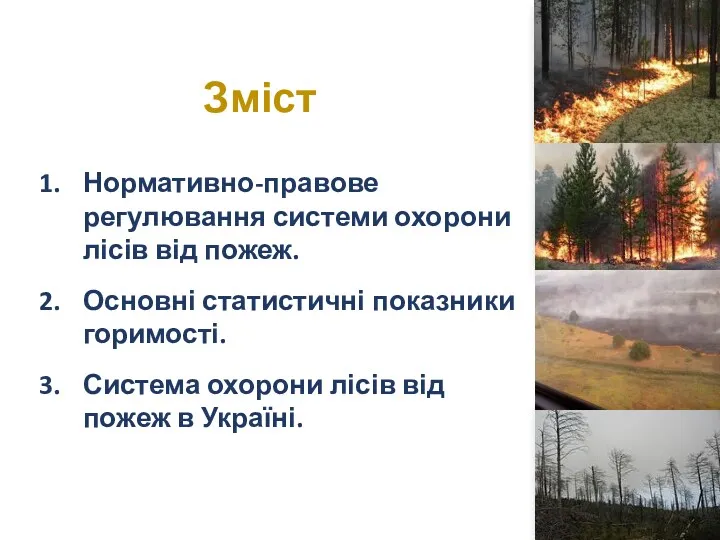 Зміст Нормативно-правове регулювання системи охорони лісів від пожеж. Основні статистичні