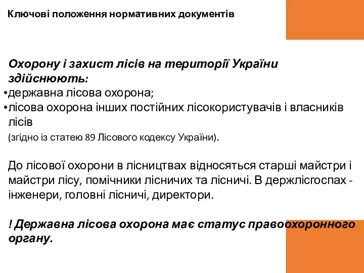 Охорону і захист лісів на території України здійснюють: державна лісова