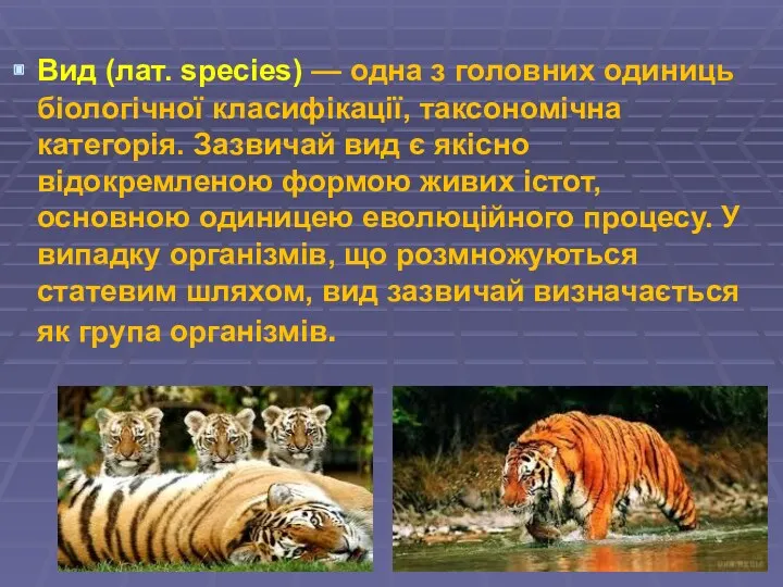 Вид (лат. species) — одна з головних одиниць біологічної класифікації,