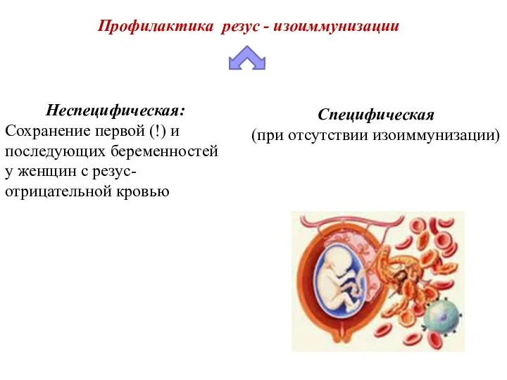 Профилактика резус - изоиммунизации Неспецифическая: Сохранение первой (!) и последующих беременностей у женщин