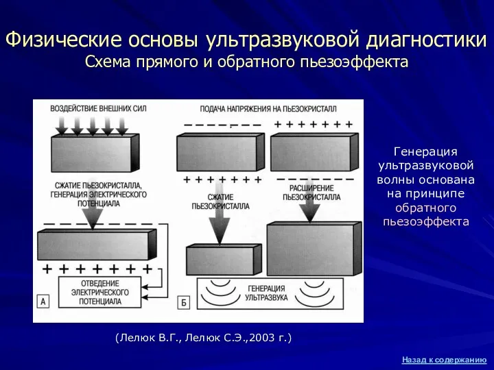 (Лелюк В.Г., Лелюк С.Э.,2003 г.) Физические основы ультразвуковой диагностики Схема