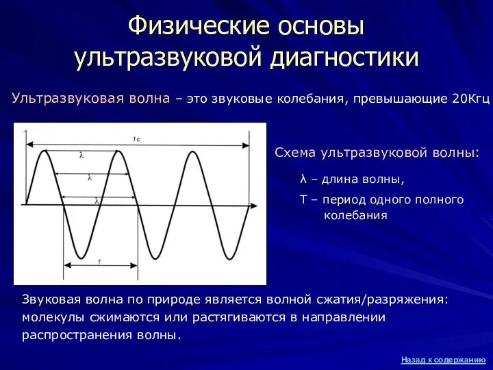 Схема ультразвуковой волны: Физические основы ультразвуковой диагностики Звуковая волна по