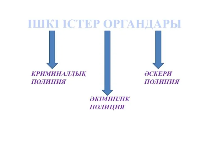 ІШКІ ІСТЕР ОРГАНДАРЫ КРИМИНАЛДЫҚ ПОЛИЦИЯ ӘКІМШІЛІК ПОЛИЦИЯ ӘСКЕРИ ПОЛИЦИЯ