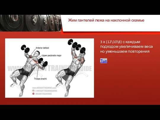 Жим гантелей лежа на наклонной скамье 3 х (12\10\8) с