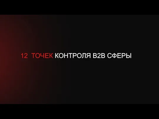 12 ТОЧЕК КОНТРОЛЯ В2В СФЕРЫ