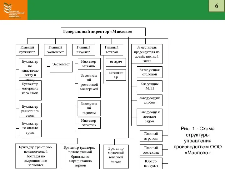 Рис. 1 - Схема структуры управления производством ООО «Маслово» Главный