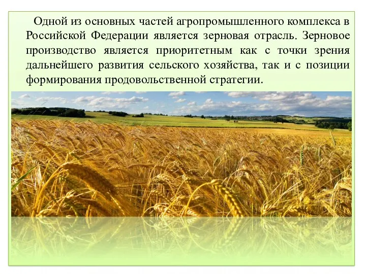 Одной из основных частей агропромышленного комплекса в Российской Федерации является зерновая отрасль. Зерновое
