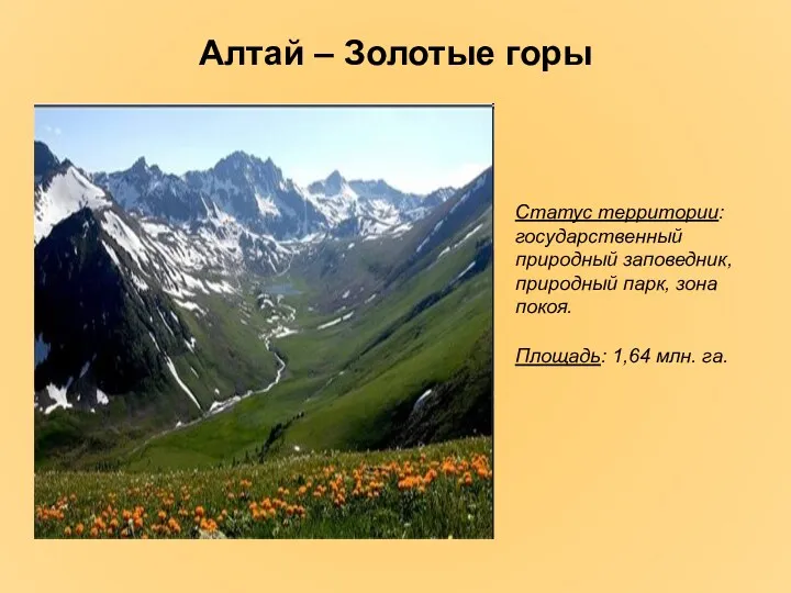 Алтай – Золотые горы Статус территории: государственный природный заповедник, природный
