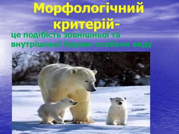 Морфологічний критерій- це подібість зовнішньої та внутрішньої будови особини виду