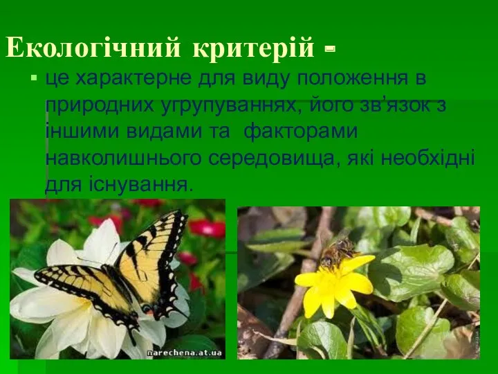 Екологічний критерій - це характерне для виду положення в природних