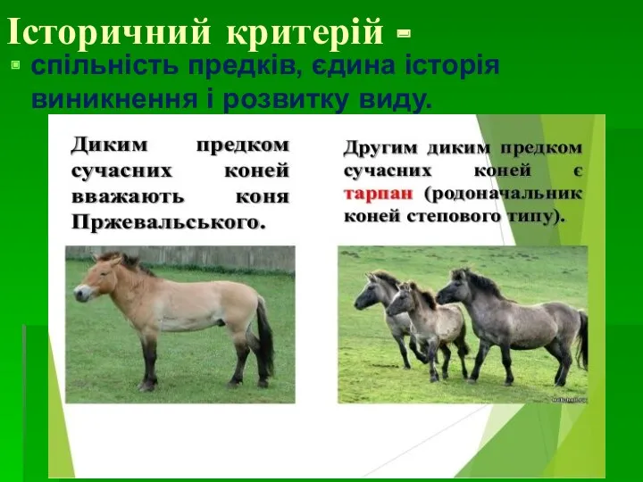 Історичний критерій - спільність предків, єдина історія виникнення і розвитку виду.