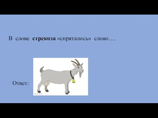 В слове стрекоза «спряталось» слово…. Ответ: