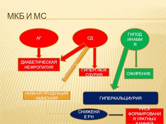 МКБ И МС АГ ДИАБЕТИЧЕСКАЯ НЕФРОПАТИЯ СД ГИПЕРГЛЮКОЗУРИЯ ГИПОДИНАМИЯ ОЖИРЕНИЕ