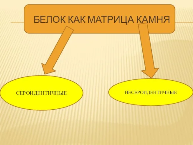 БЕЛОК КАК МАТРИЦА КАМНЯ СЕРОИДЕНТИЧНЫЕ НЕСЕРОИДЕНТИЧНЫЕ