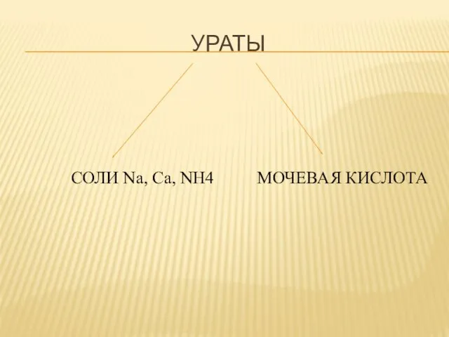 УРАТЫ СОЛИ Na, Ca, NH4 МОЧЕВАЯ КИСЛОТА