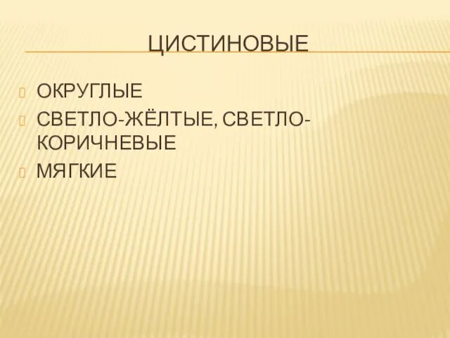 ЦИСТИНОВЫЕ ОКРУГЛЫЕ СВЕТЛО-ЖЁЛТЫЕ, СВЕТЛО-КОРИЧНЕВЫЕ МЯГКИЕ