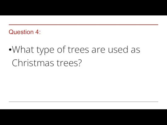Question 4: What type of trees are used as Christmas trees?