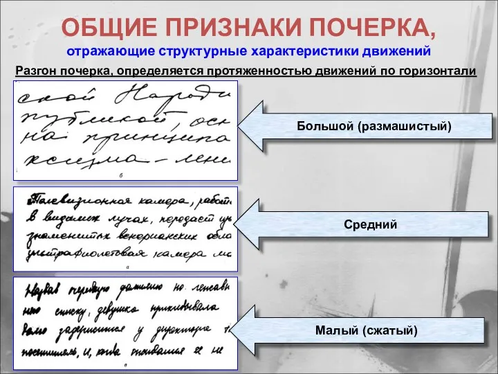 ОБЩИЕ ПРИЗНАКИ ПОЧЕРКА, отражающие структурные характеристики движений Разгон почерка, определяется протяженностью движений по горизонтали