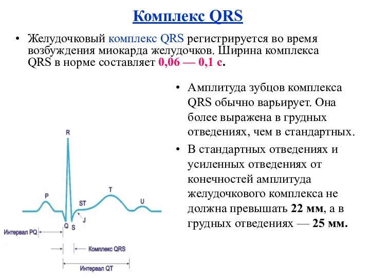 Комплекс QRS Желудочковый комплекс QRS регистрируется во время возбуждения миокарда