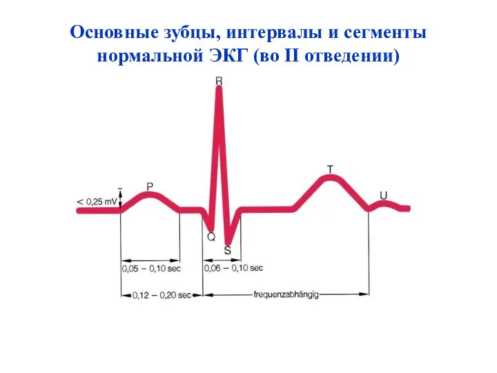 Основные зубцы, интервалы и сегменты нормальной ЭКГ (во II отведении)