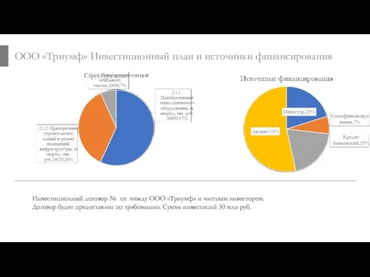 ООО «Триумф» Инвестиционный план и источники финансирования Инвестиционный договор №