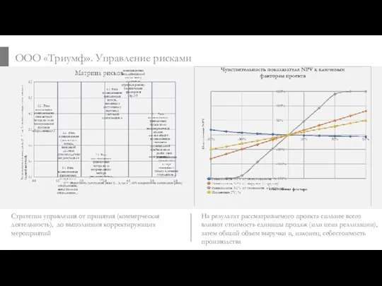 ООО «Триумф». Управление рисками Стратегии управления от принятия (коммерческая деятельность),