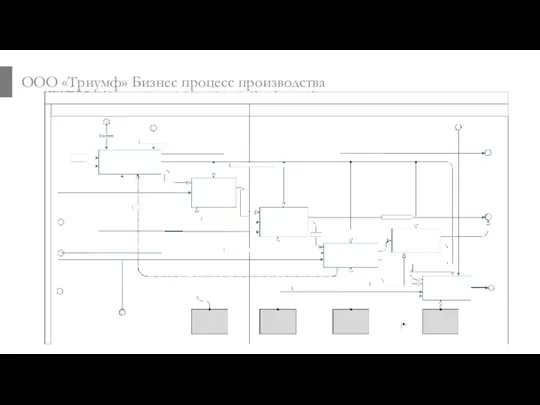 ООО «Триумф» Бизнес процесс производства