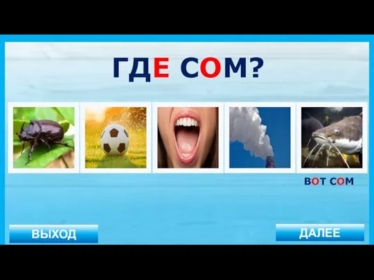 ВЫХОД ДАЛЕЕ ВОТ СОМ ГДЕ СОМ?