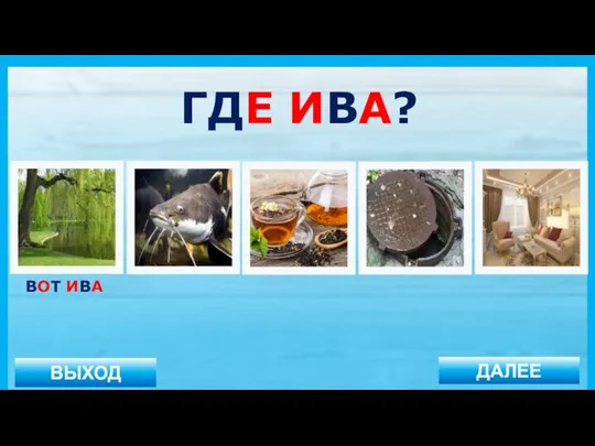 ВЫХОД ДАЛЕЕ ВОТ ИВА ГДЕ ИВА?