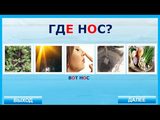 ВЫХОД ДАЛЕЕ ВОТ НОС ГДЕ НОС?