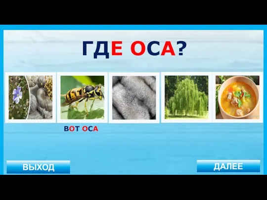 ВЫХОД ДАЛЕЕ ВОТ ОСА ГДЕ ОСА?